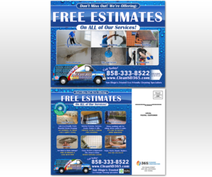 365 EDDM FLYER FOR CARPET CLEANING & WINDOW WASHING | Design de Flyer par Luniere Designs