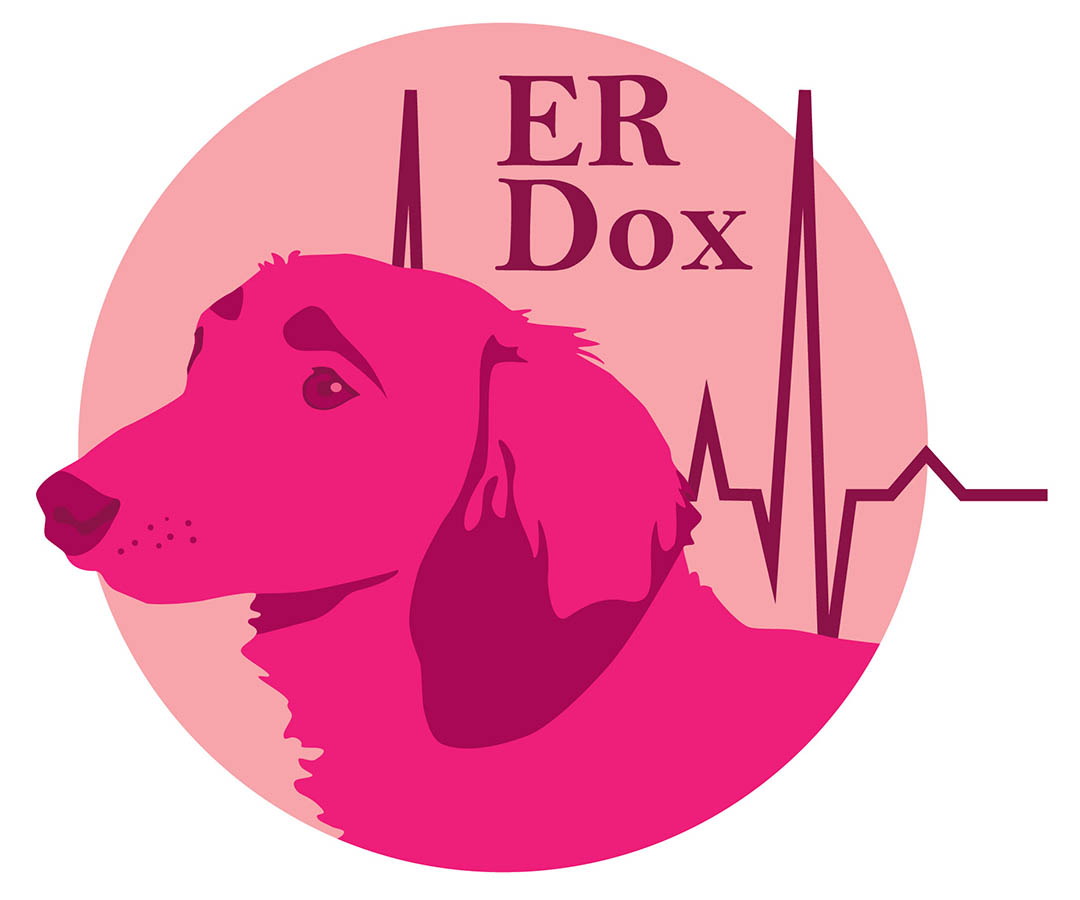 Logo-Design von amy.autiger für dieses Projekt | Design #2906266