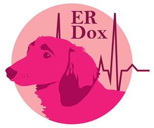 Logo Design by amy.autiger