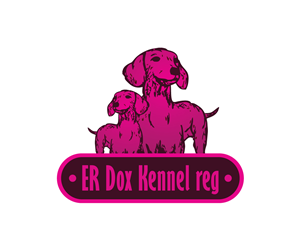 Logo Design by 2logix