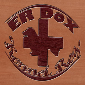 Logo Design by SerGo for this project | Design: #2903951