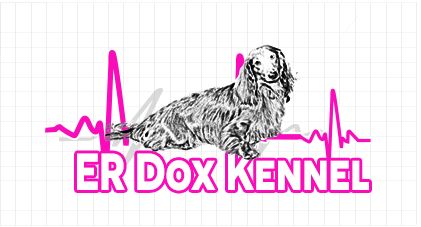 Logo Design by webworksleela for this project | Design #2862942