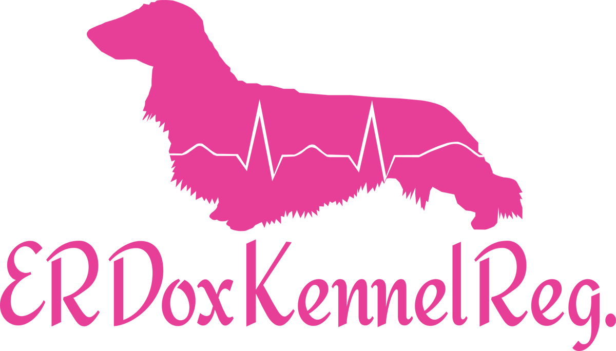 Logo Design by Howell Designs for this project | Design #2884371