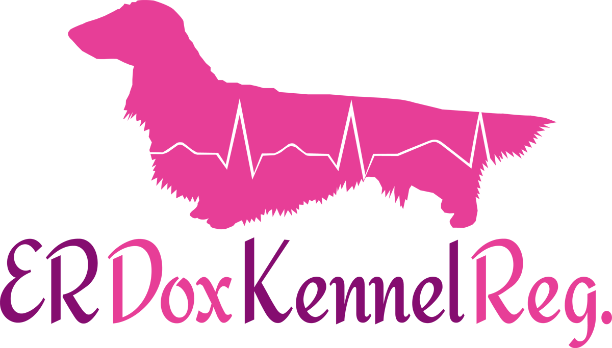 Logo Design by Howell Designs for this project | Design #2887834