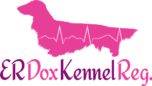 Logo Design by Howell Designs