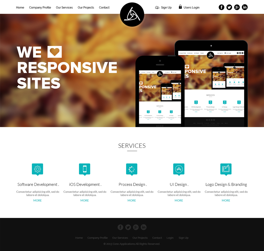 Web Design by ESolz Technologies for Core Applications | Design #2866766