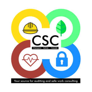 Logo Design by Romil designs
