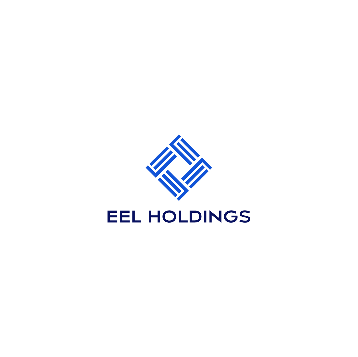 Elegant, Playful Logo Design for "EEL Holdings, LLC" or "EEL Holdings