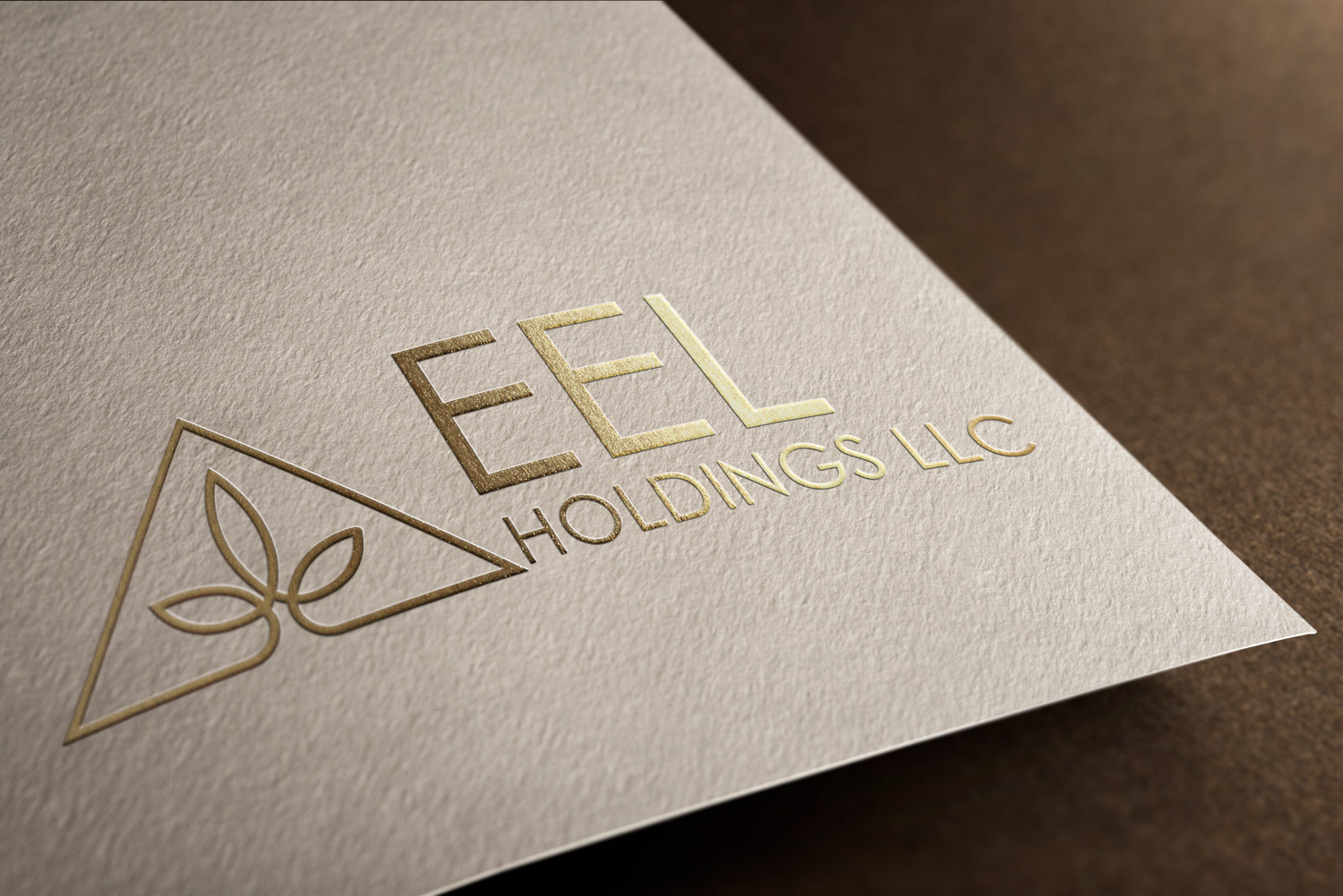 Elegant, Playful Logo Design for "EEL Holdings, LLC" or "EEL Holdings
