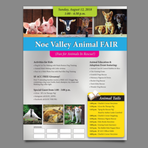 San Francisco Animal Adoption FAIR | Flyer Design by Ashley Erasmus