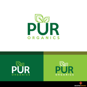 Logo Design by Graphic Bricks