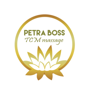 Logo Design by hasithm2013 for seelcon GmbH | Design: #19211732