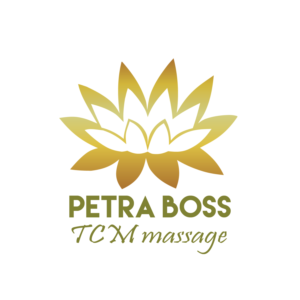 Logo Design by hasithm2013 for seelcon GmbH | Design: #19211746