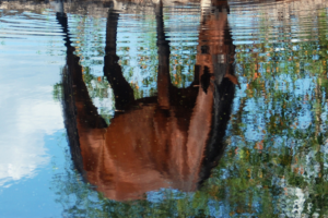 Photography by Larah McElroy