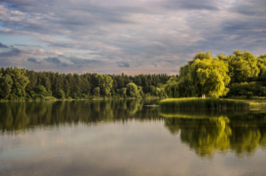Photography by Ves-Boycheva