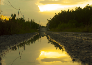 Photography by TDuong