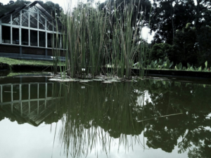 Photography by adriyan