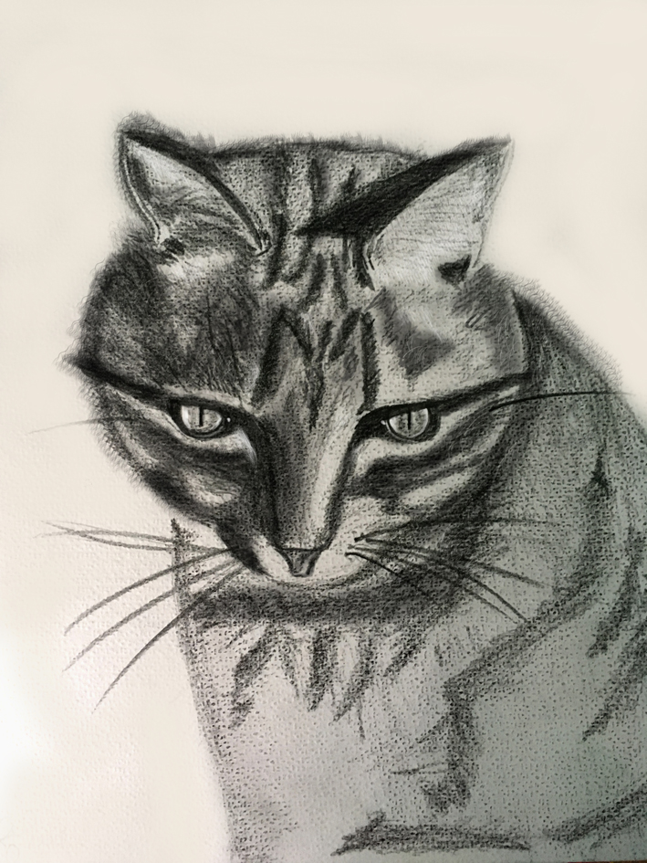 Illustration Design by movingdiseno for DesignCrowd (Community Contests) | Design #19212932