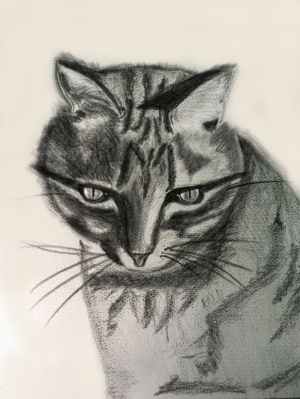 Illustration Design by movingdiseno