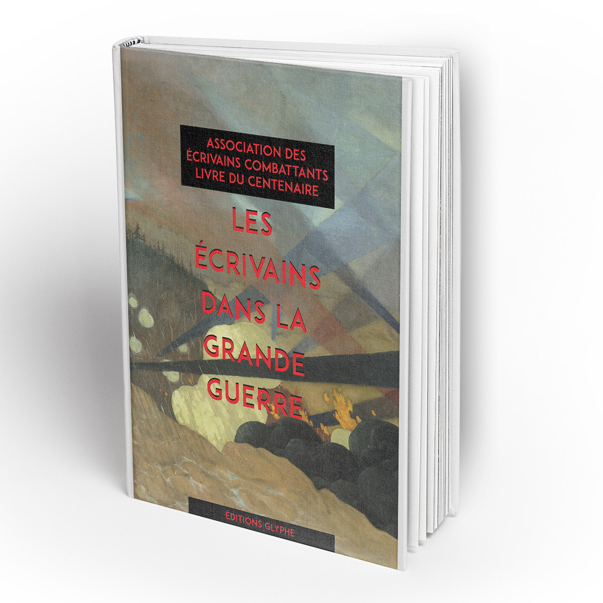 Diseño de portada de libro por emrul1568 para este proyecto | Diseño #19198117