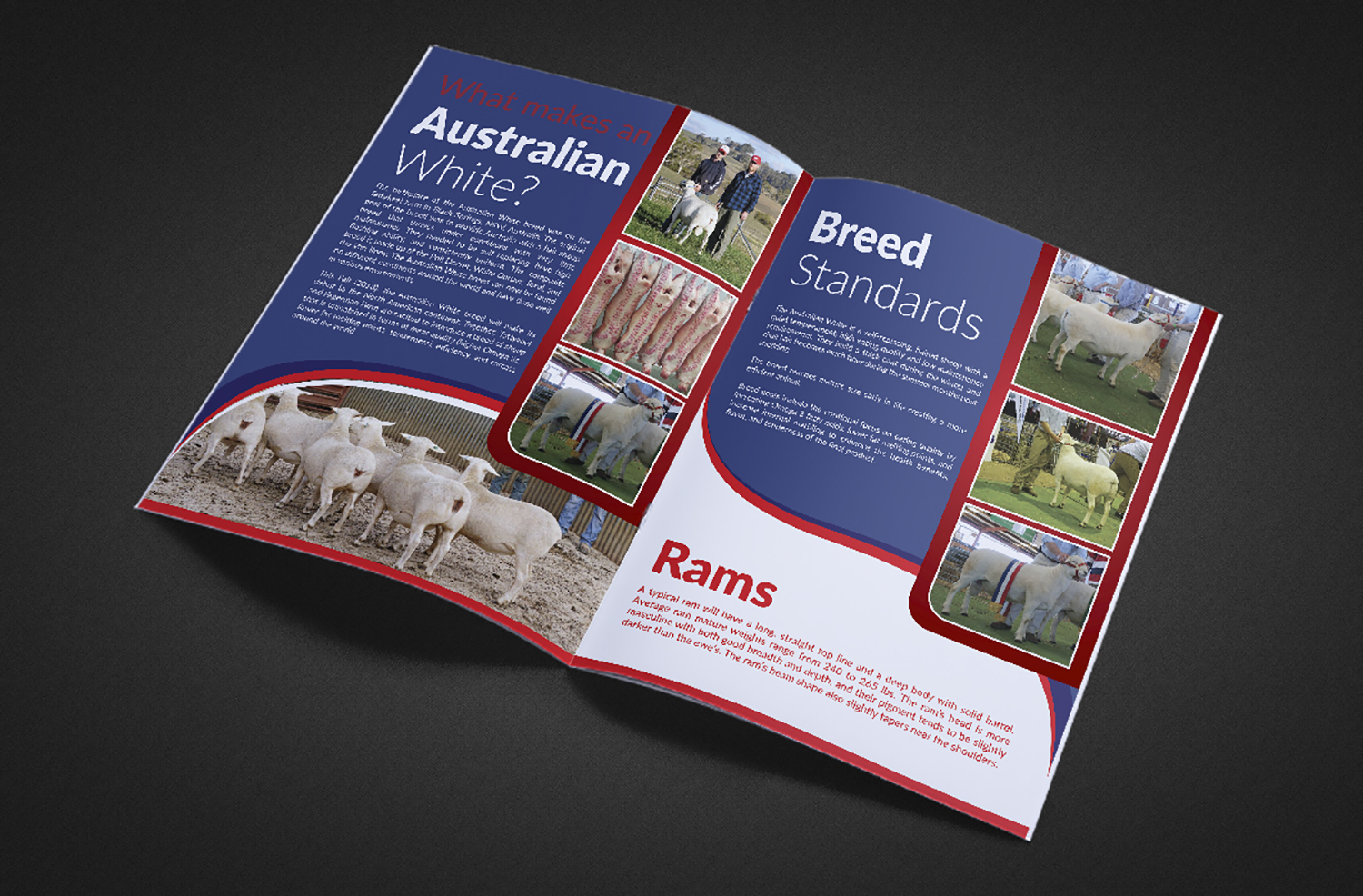 Design de Brochure par Deziners Zone pour Fagerman Farm | Design #19201362