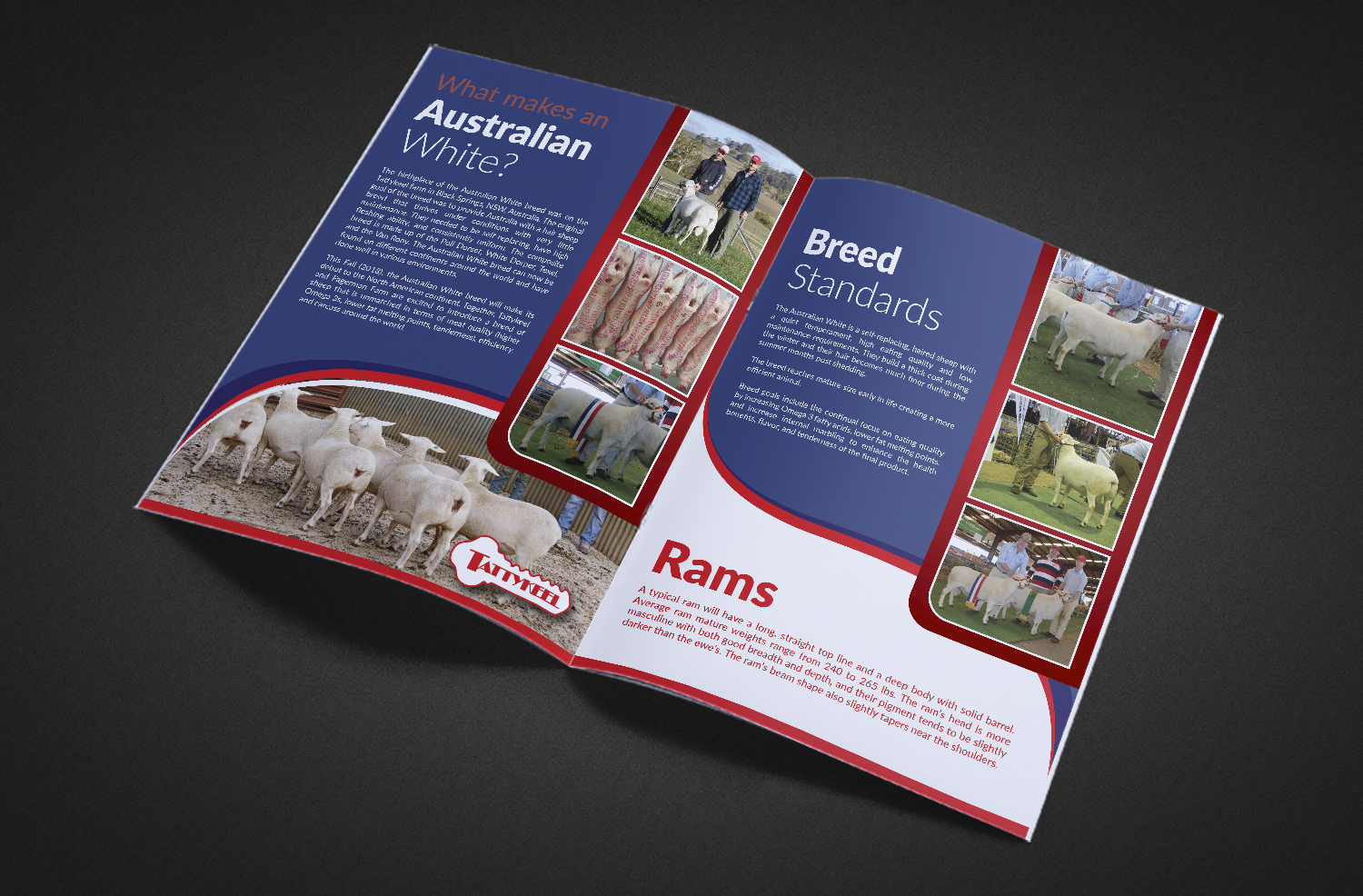 Brochure Design by Deziners Zone for Fagerman Farm | Design #19207093