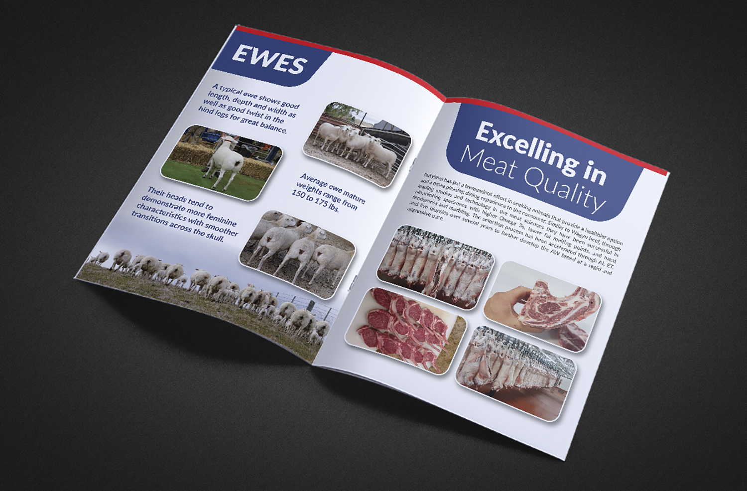 Design de Brochure par Deziners Zone pour Fagerman Farm | Design #19207094