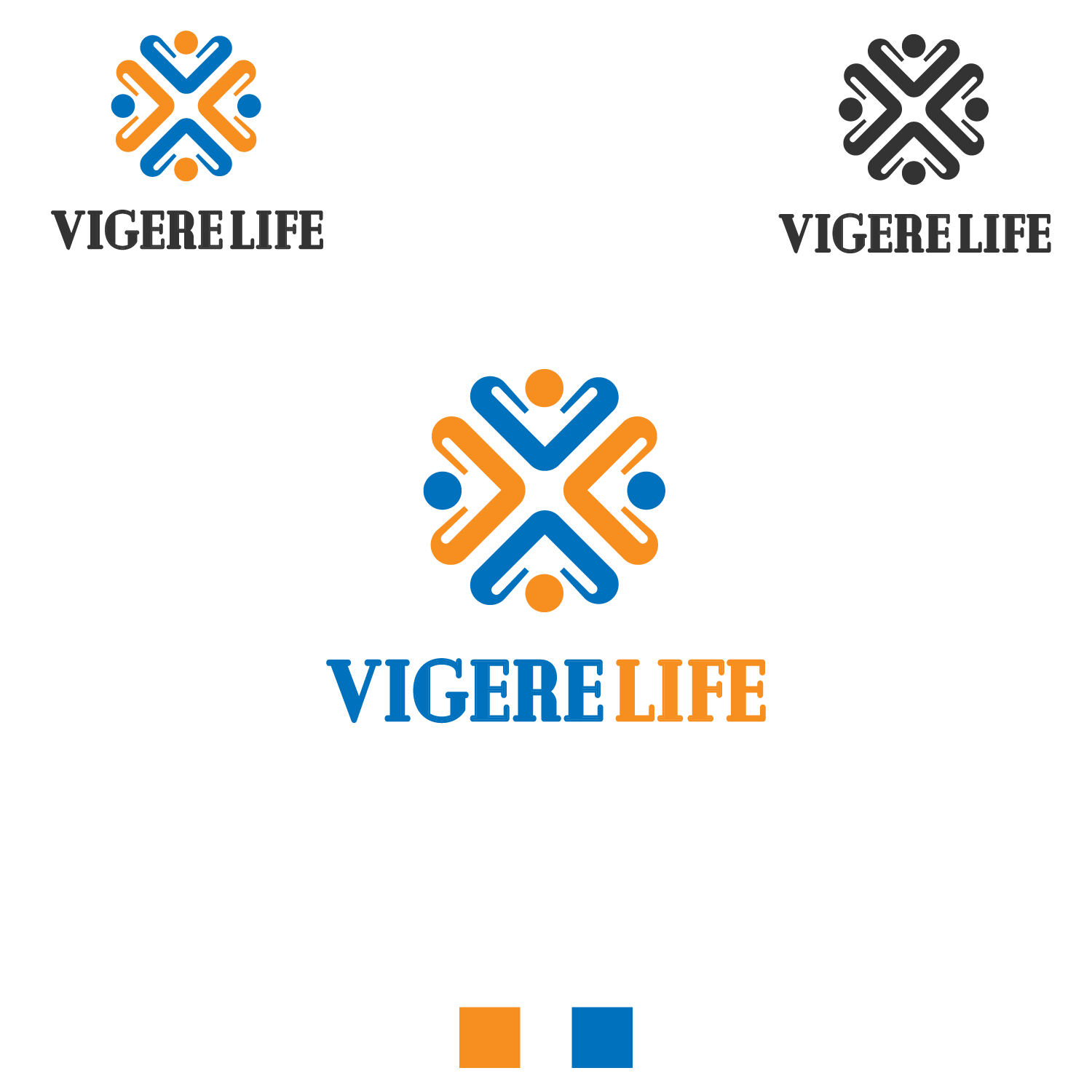 Logo Design by Bowoedane studio for this project | Design #19250677
