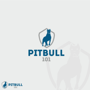 Logo Design by junior pxl design
