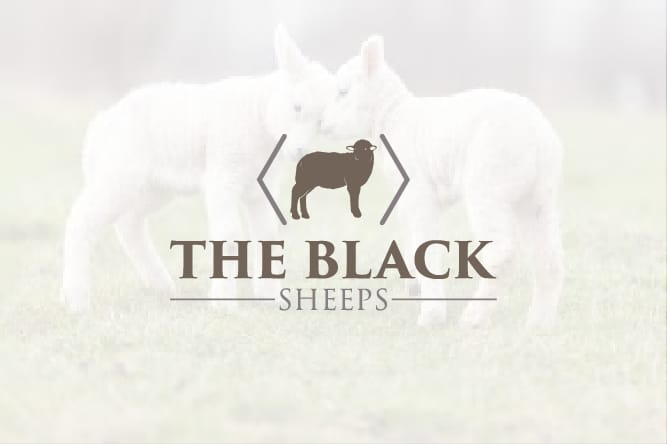 Logo Design by A-TeAm Graphics for this project | Design #19203326