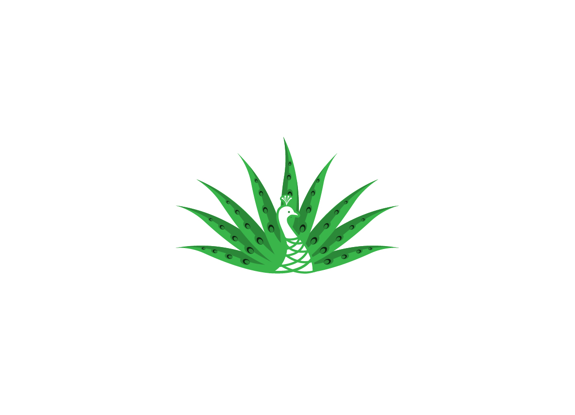 Diseño de Logo por creative.bugs para este proyecto | Diseño #19207700