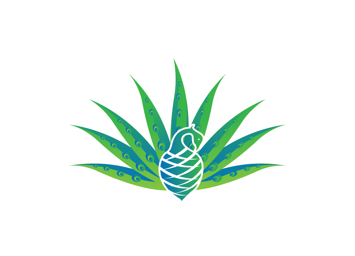 Logo Design by creative.bugs for this project | Design #19252962