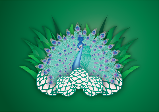 Logo Design by BED for this project | Design #19268583