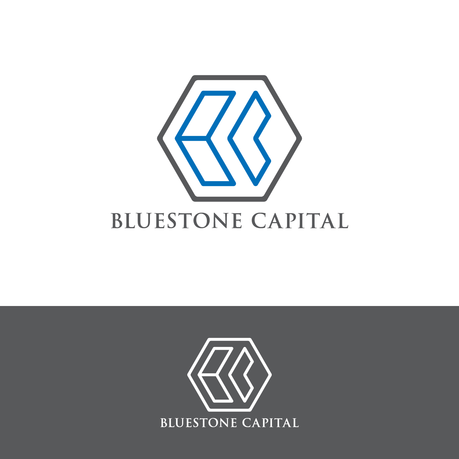 Logo Design by Haja N for Bluestone Capital | Design #19286660
