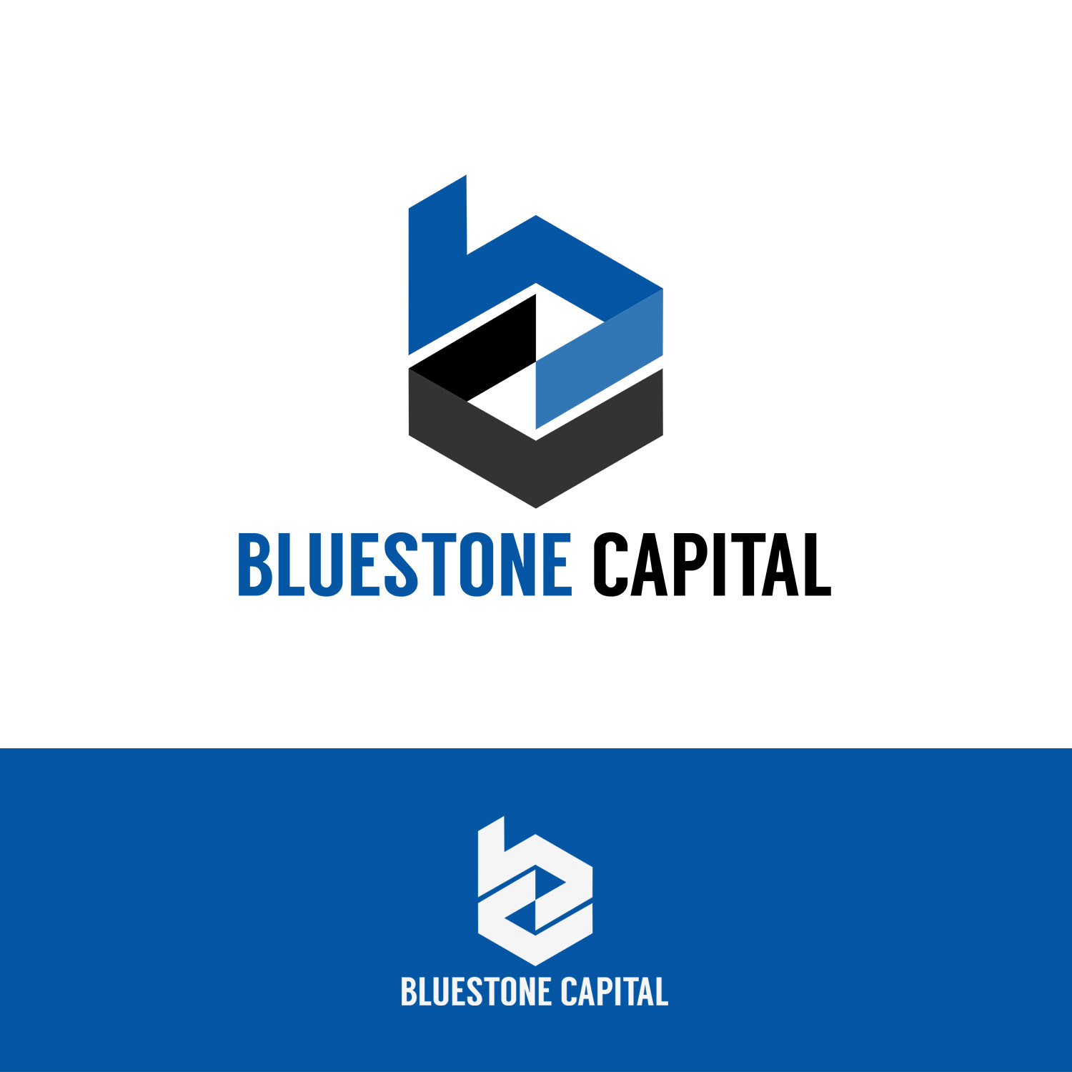 Logo Design by Leonard 7 for Bluestone Capital | Design #19249753