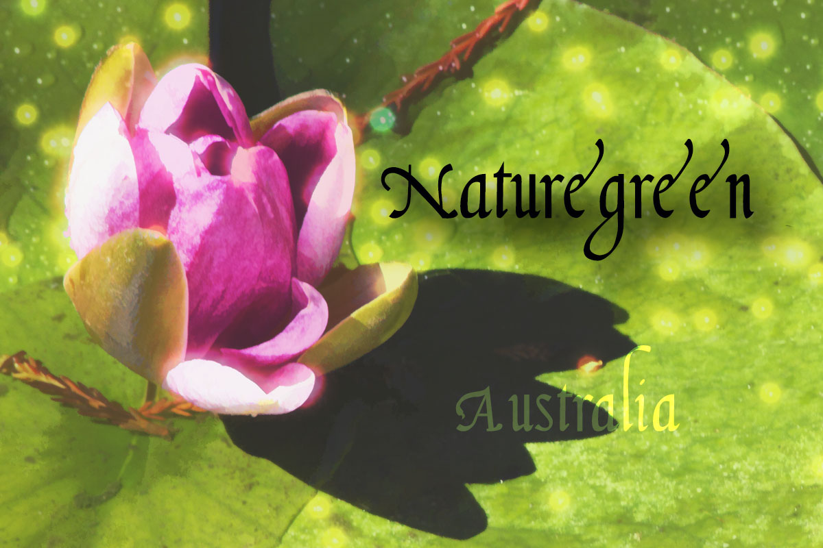 Logo-Design von David Tuthill für Ayrtec Pty Ltd | Design #2883390