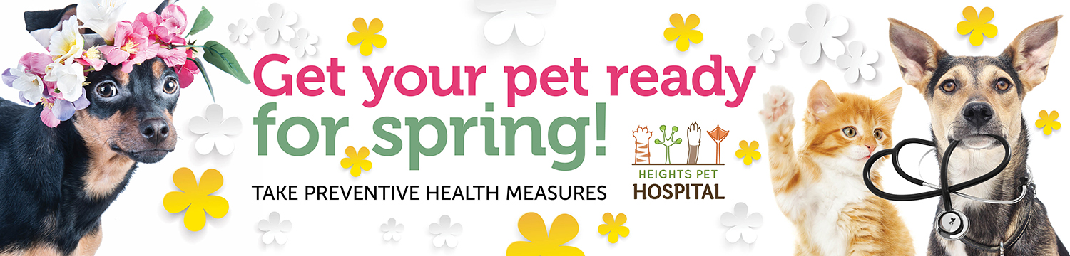 Poster-Design von RoundYellow für Heights Pet Hospital | Design #19333478