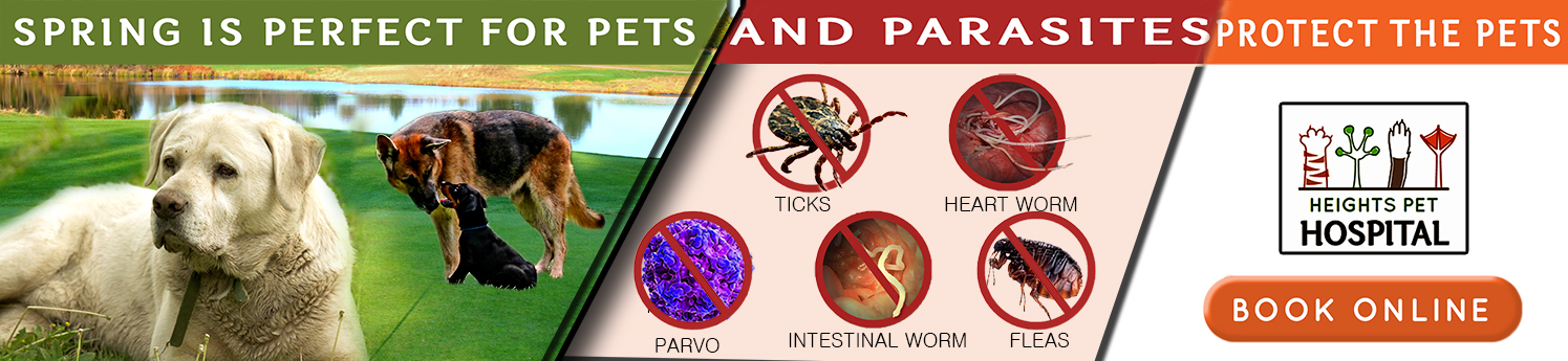 Poster-Design von Pritha für Heights Pet Hospital | Design #19316041