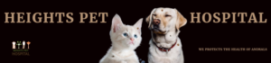 Poster Design by Clanixo for Heights Pet Hospital | Design: #19291479