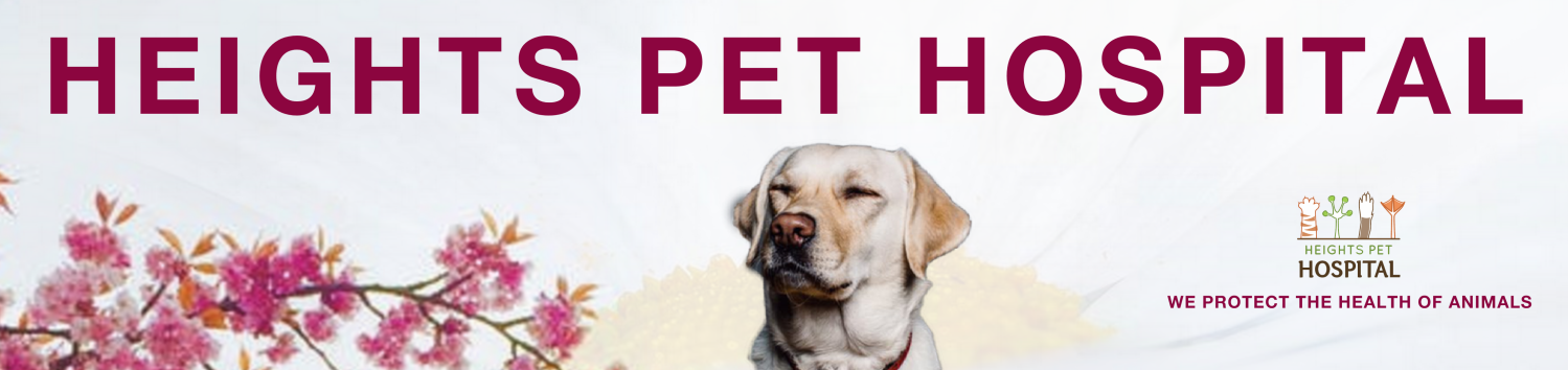 Poster Design by Clanixo for Heights Pet Hospital | Design #19306484