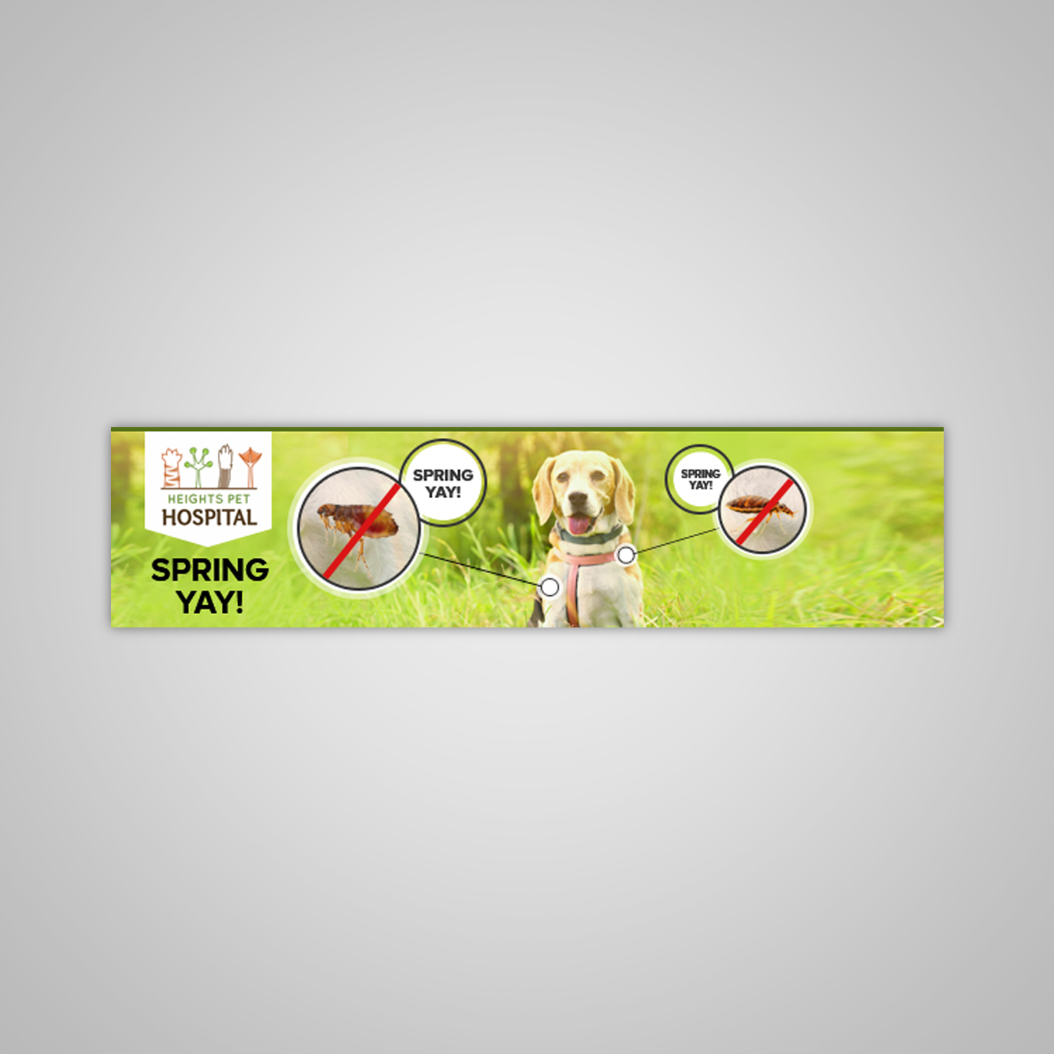 Poster Design by creative.bugs for Heights Pet Hospital | Design #19217552