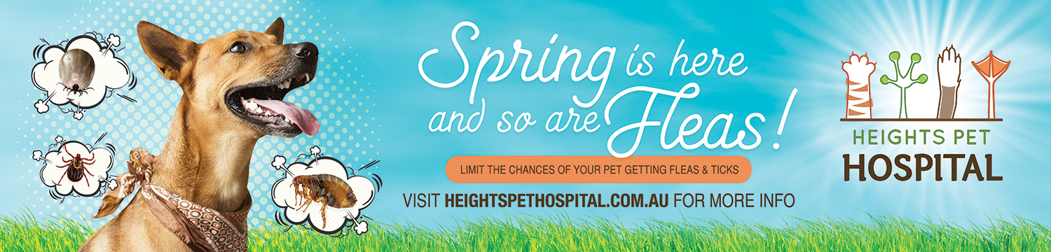 Poster Design by apolgv for Heights Pet Hospital | Design #19227575