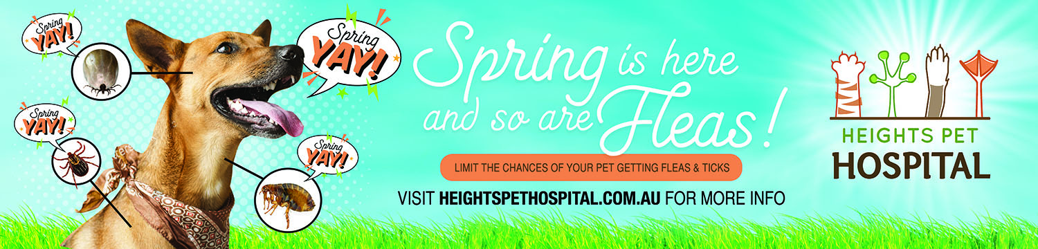 Diseño de Póster por apolgv para Heights Pet Hospital | Diseño #19241293