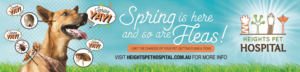 Poster Design by apolgv for Heights Pet Hospital | Design: #19241293