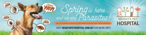 Poster Design by apolgv for Heights Pet Hospital | Design: #19253398