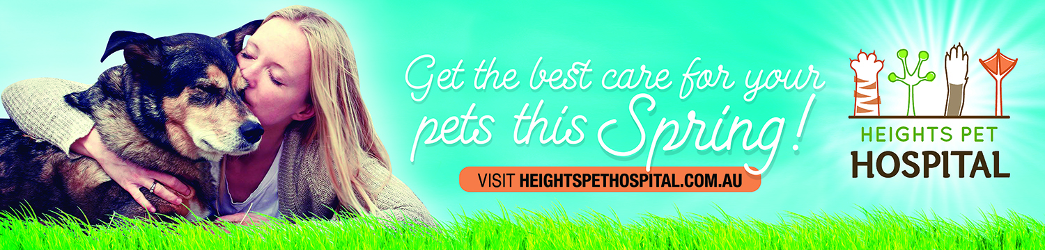 Poster-Design von apolgv für Heights Pet Hospital | Design #19289437