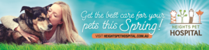 Spring Pet Banner for Veterinary Hospital 5m x 1.2m | Diseño de Póster por apolgv