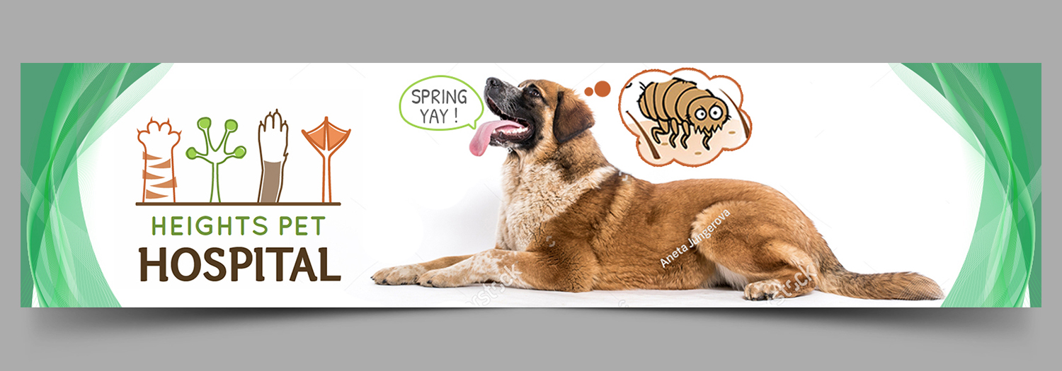 Diseño de Póster por SAI DESIGNS para Heights Pet Hospital | Diseño #19264814