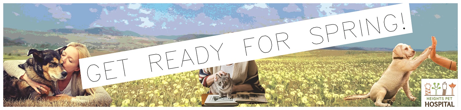 Design de Poster par EAdesign pour Heights Pet Hospital | Design #19314251