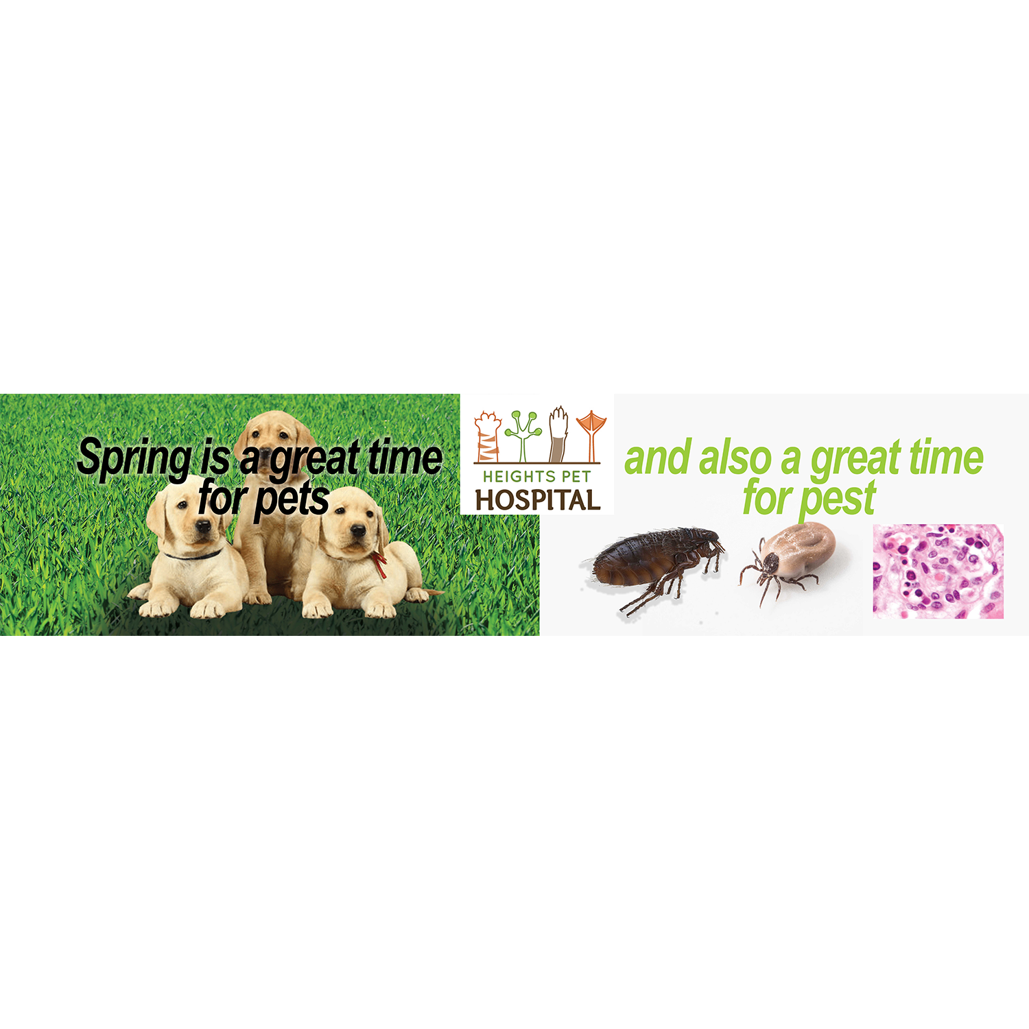 Poster Design by veeBC for Heights Pet Hospital | Design #19277040
